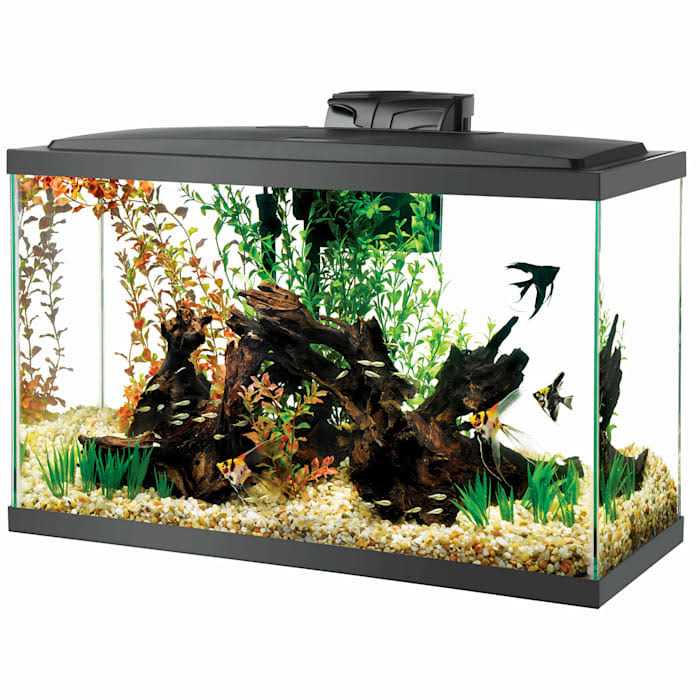 29 Gal Aquarium H88979