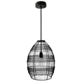 Black 1 Light Single Teardrop Pendant U909921