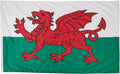 International Flag 5x8' O302139
