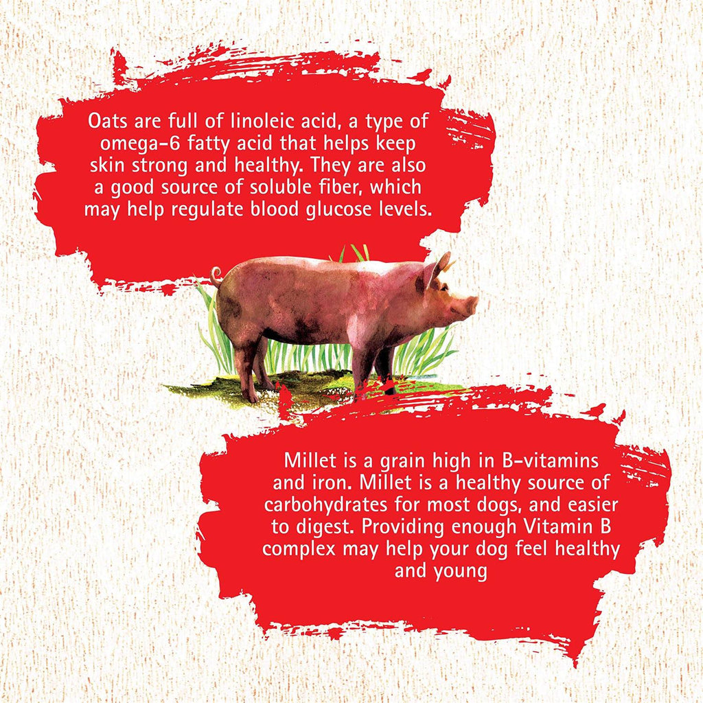 Pork Recipe Dog Food H1816
