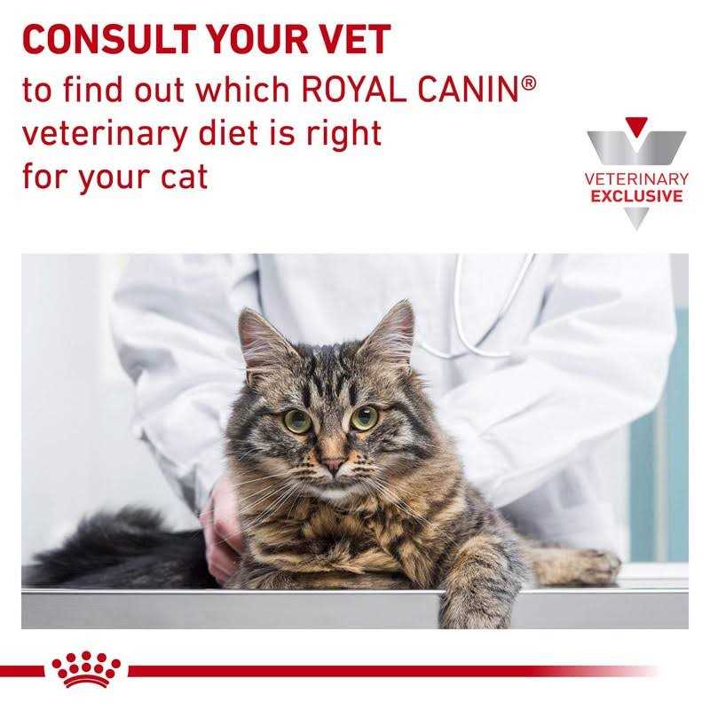 Veterinary Diet Feline Gastrointestinal Kitten Dry Cat Food X34767