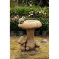 Mushroom and Frog Water Fountain F1063