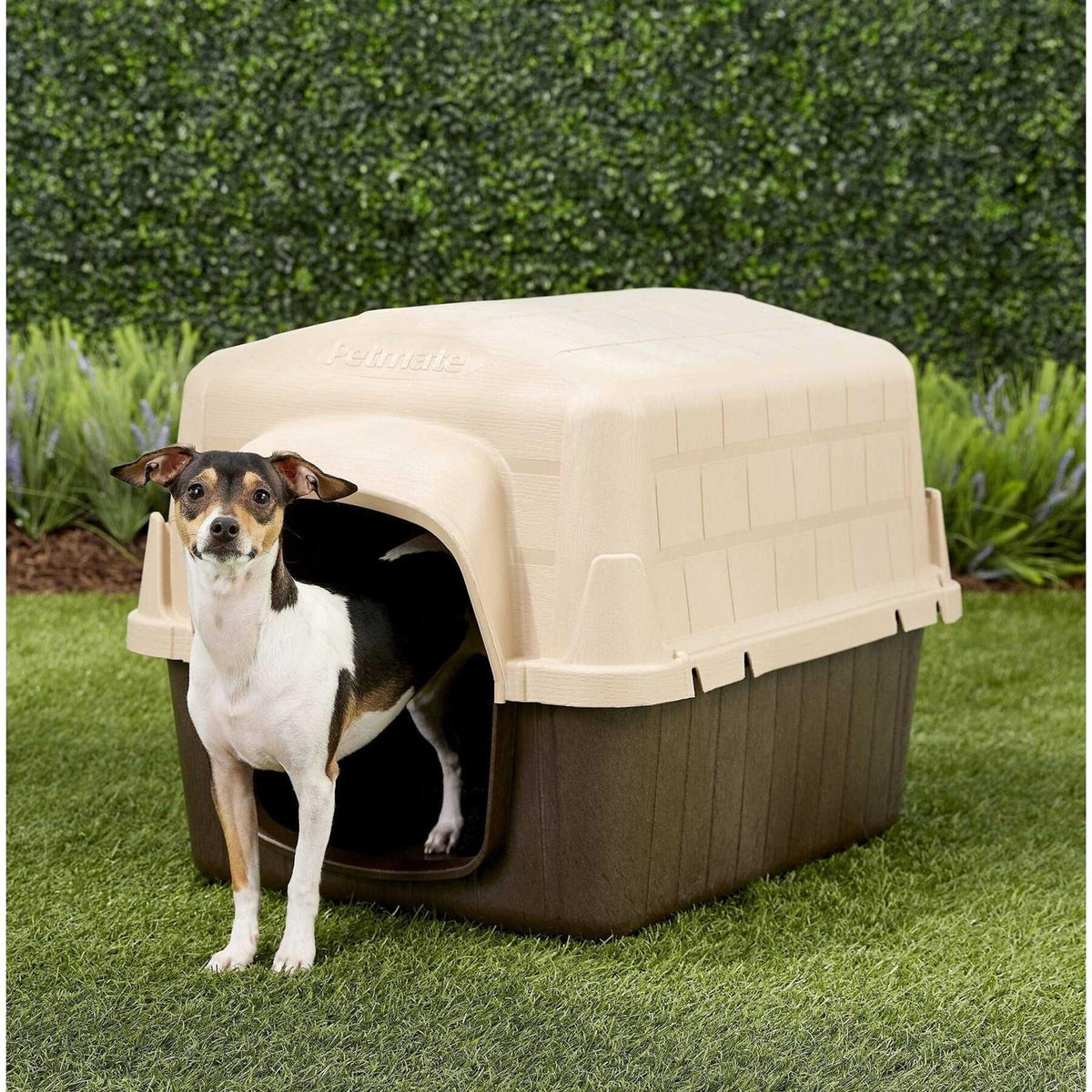 Dog House D957
