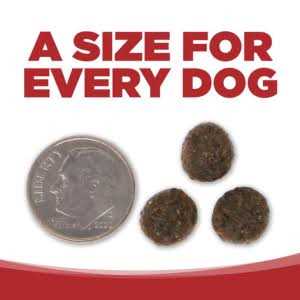 Beef & Red Lentils Grain Free Dry Dog Food Q168
