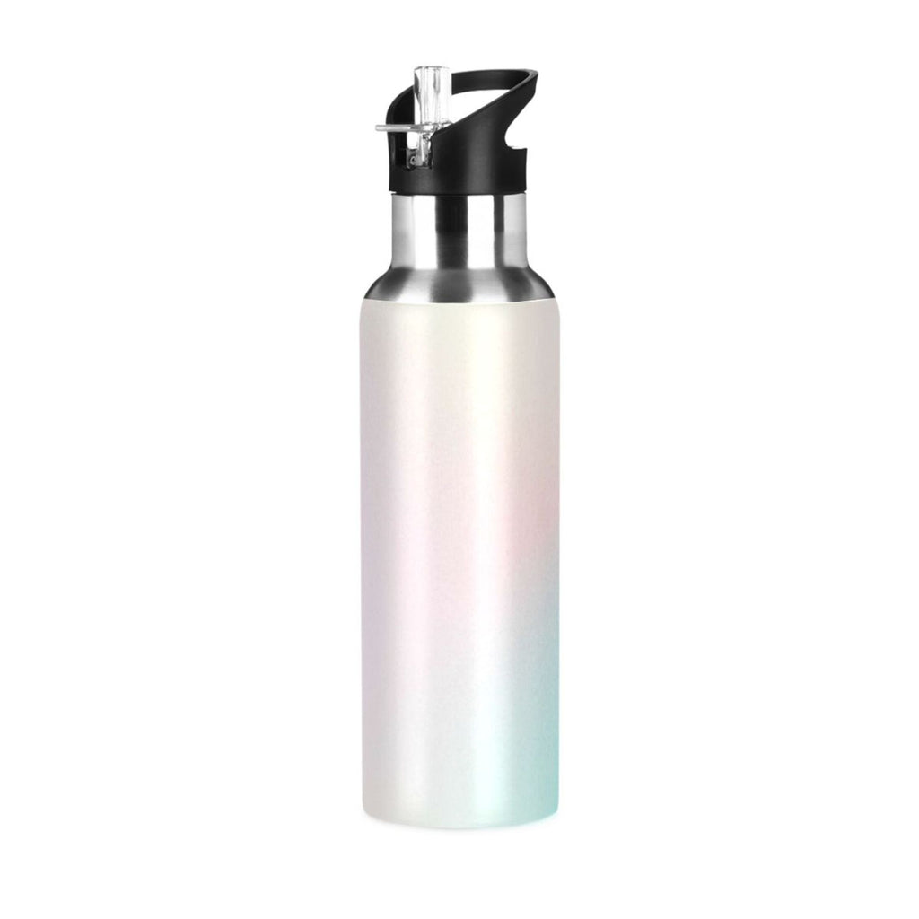 20 OZ Stainless Steel Vacuum Insulated Water Bottle with Straw Lid T235372