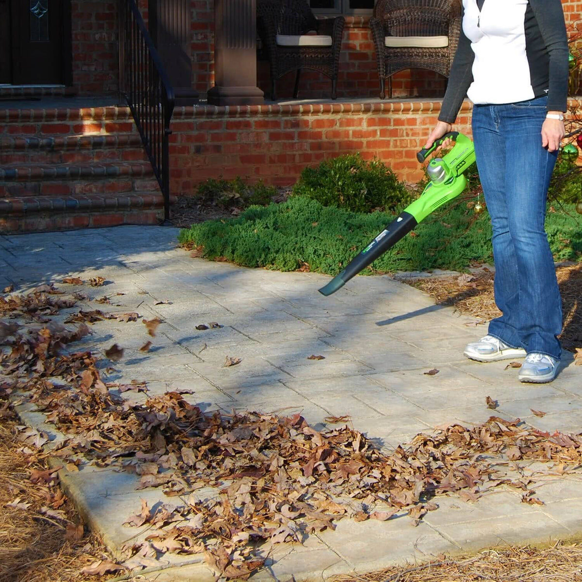 24V Cordless Handheld Leaf Blower with 2.0 Ah Battery and Charger N30962