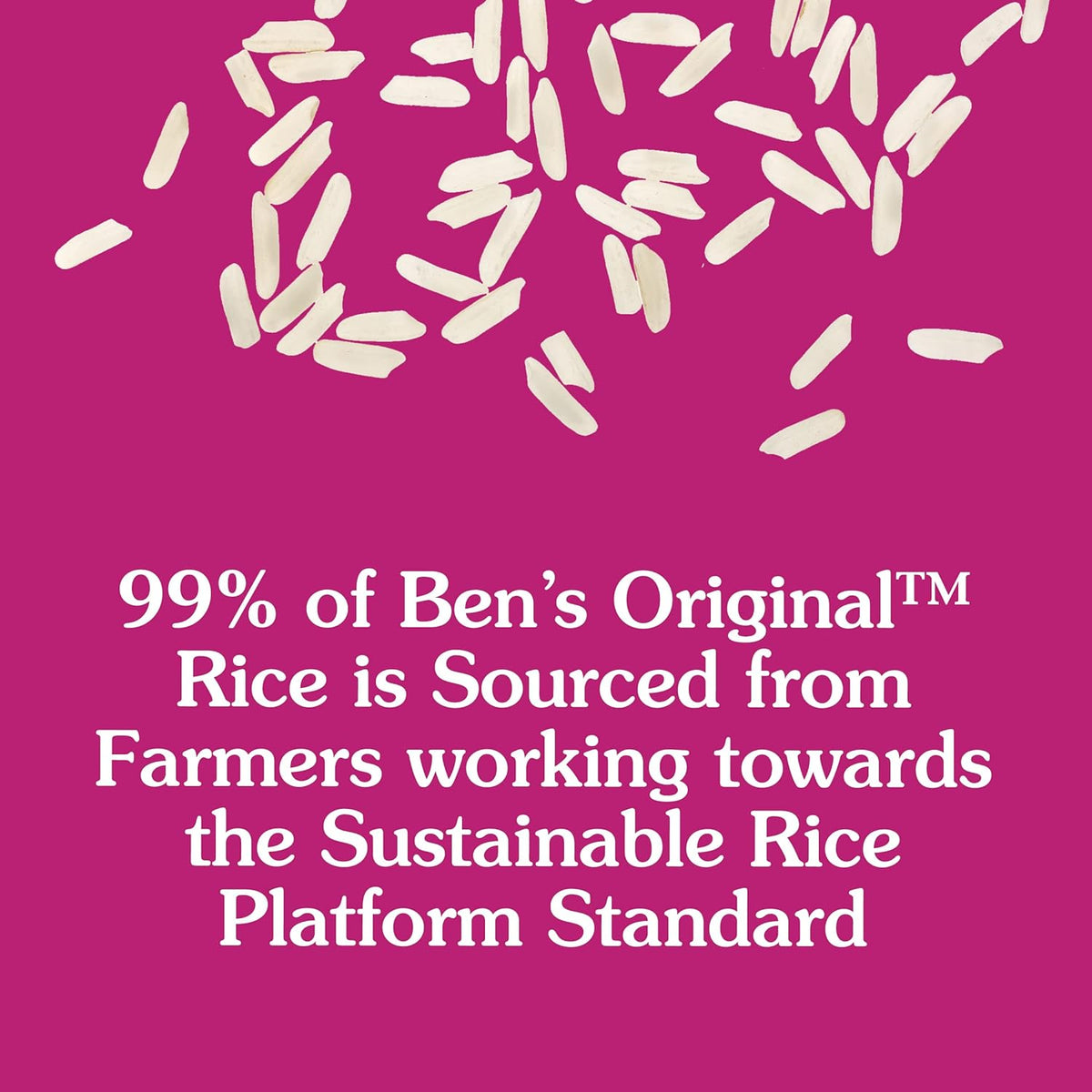 8.8 oz. (6 Pack) Spanish Style Rice C423448