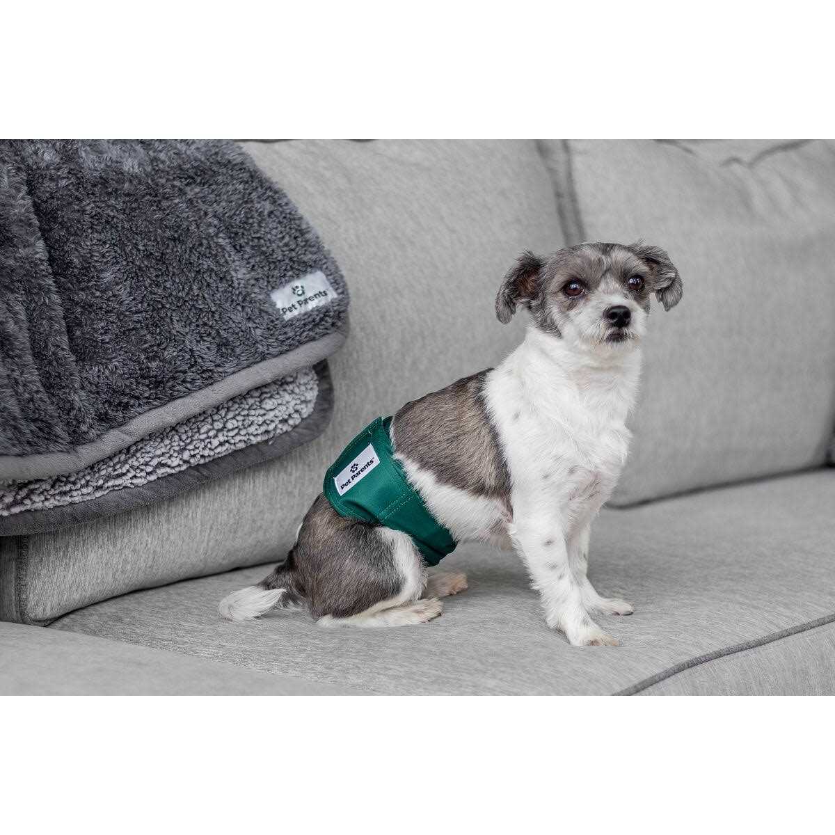 Washable Dog Belly Bands W905702
