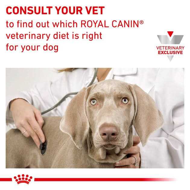 Calm Dry Dog Food G958843