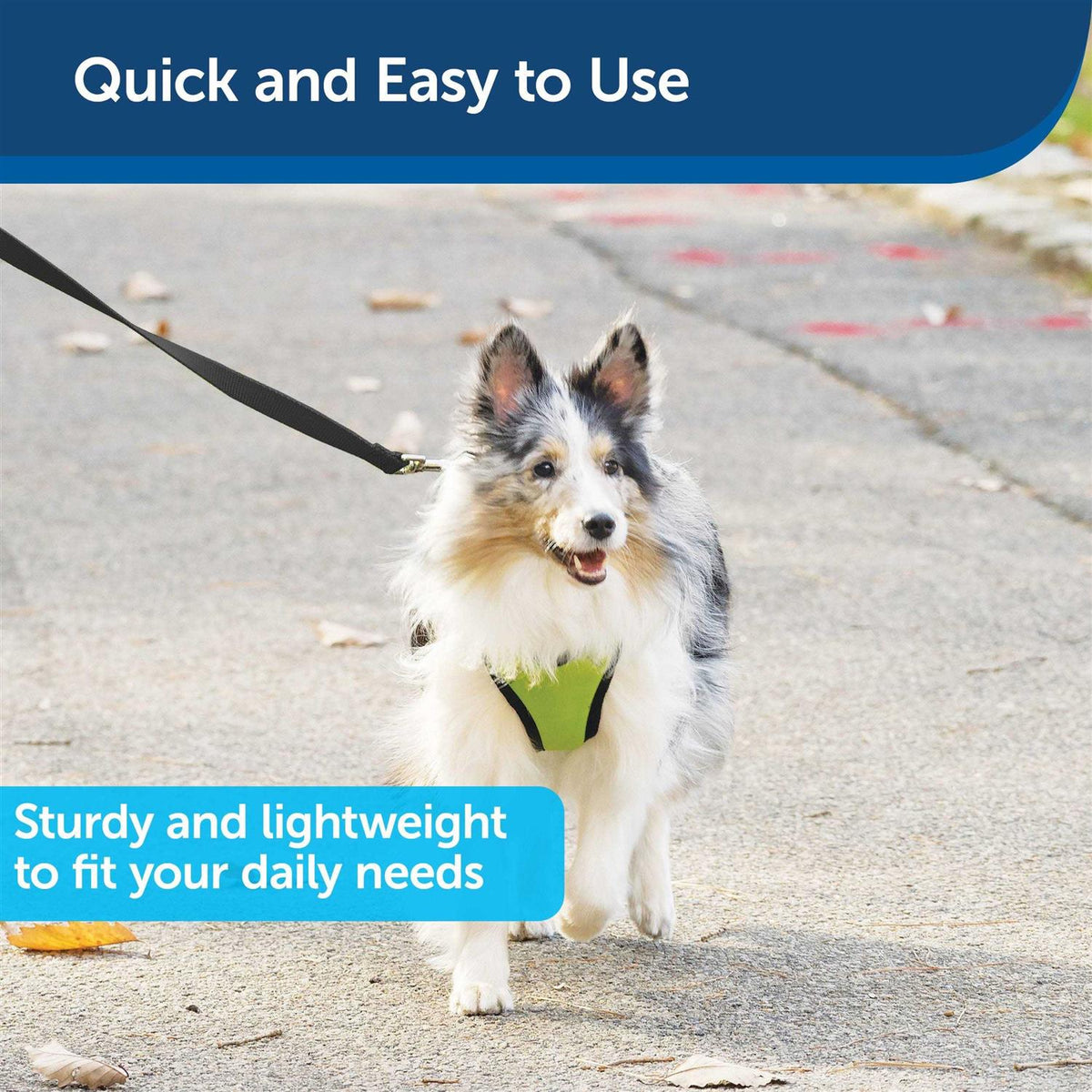 Nylon Dog Leash P5631