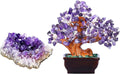 Amethyst Clusters Raw Geode Crystals Stone and Purple Healing Crystal Gem Money Tree I22239