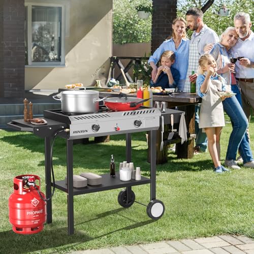 2 Burner Outdoor Propane Gas Stove with Auto-ignition, Regulator & Shelf C539