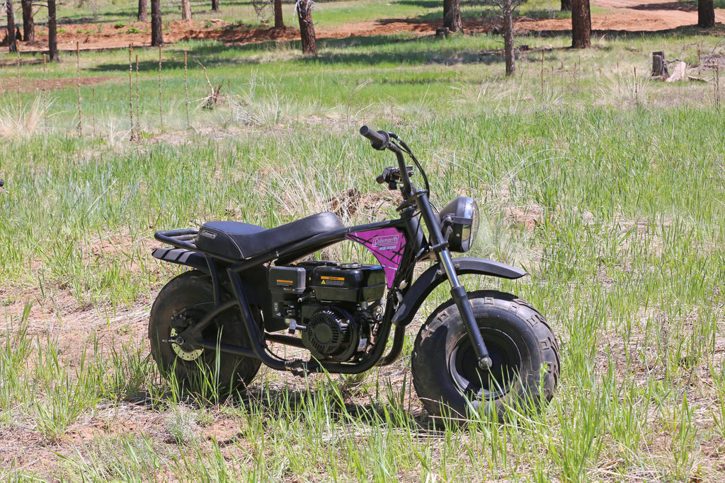 Pink Gas Powered Ride-On Mini Bike F122
