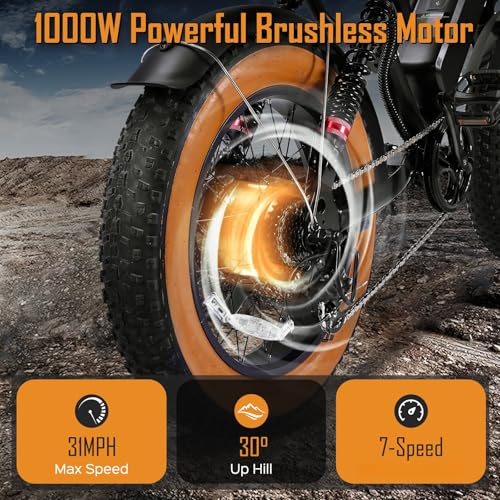 1000W 20" Fat Tire 48V 17.5AH Removable Battery Electric Bike S27127