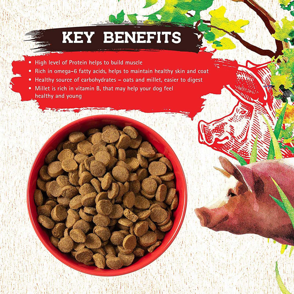 Pork Recipe Dog Food H1816