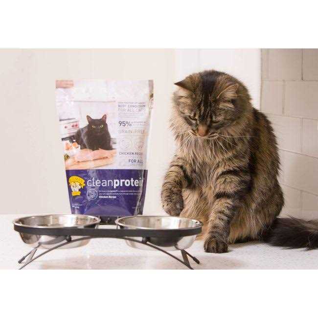 Chicken Formula Dry Cat Food Z24690