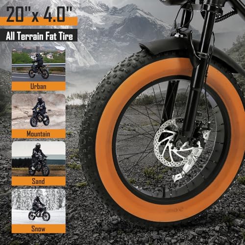 1000W 20" Fat Tire 48V 17.5AH Removable Battery Electric Bike S27127