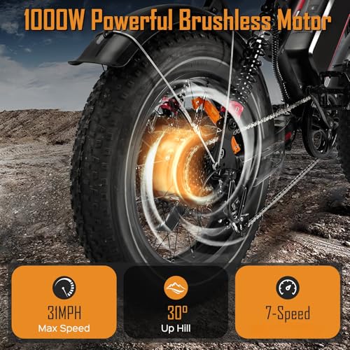 1000W 20" Fat Tire 48V 17.5AH Removable Battery Electric Bike S27127