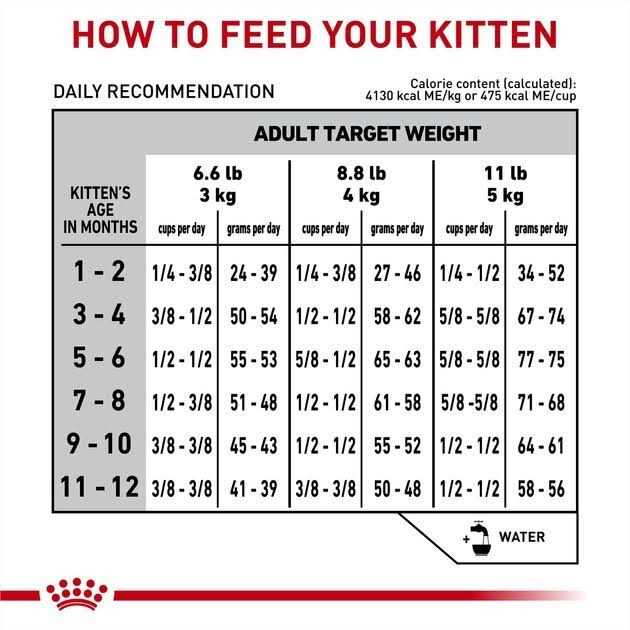 Veterinary Diet Feline Gastrointestinal Kitten Dry Cat Food X34767