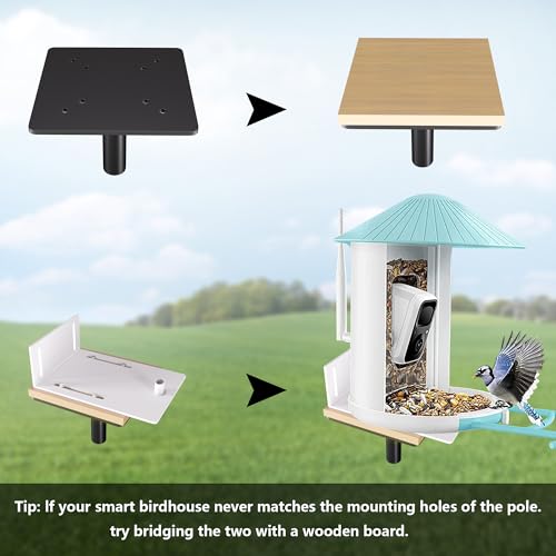 79 Inch Heavy Duty Bird Feeder Pole Kit with 5 Base Prongs D32511