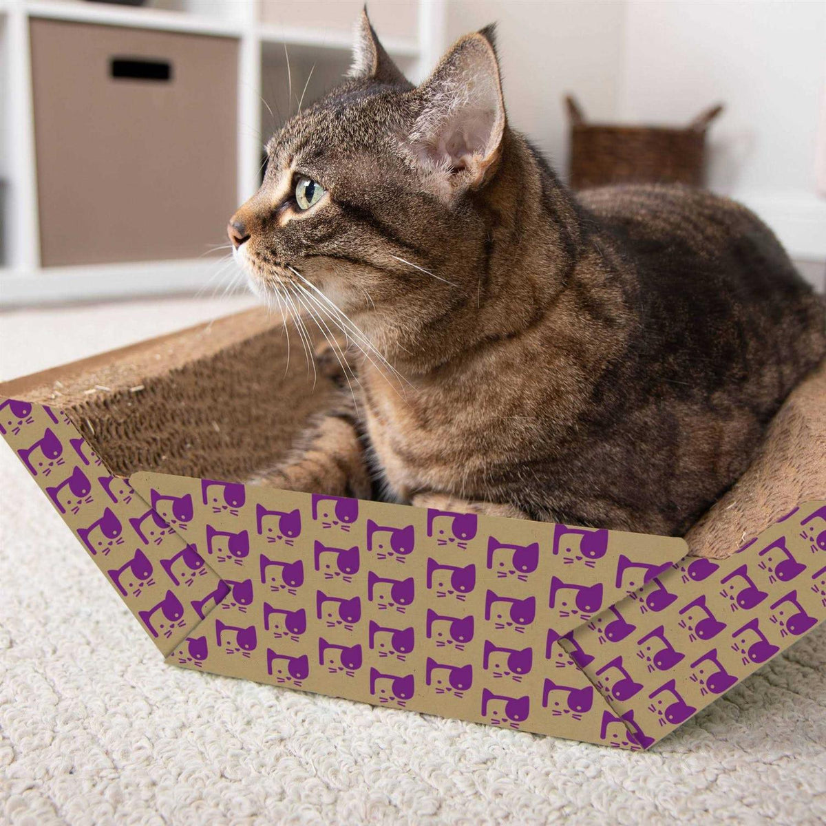 Catnip-Infused Corrugate Cat Scratcher & Lounge R84928