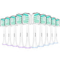 10 Pack Toothbrush Replacement Heads T21479