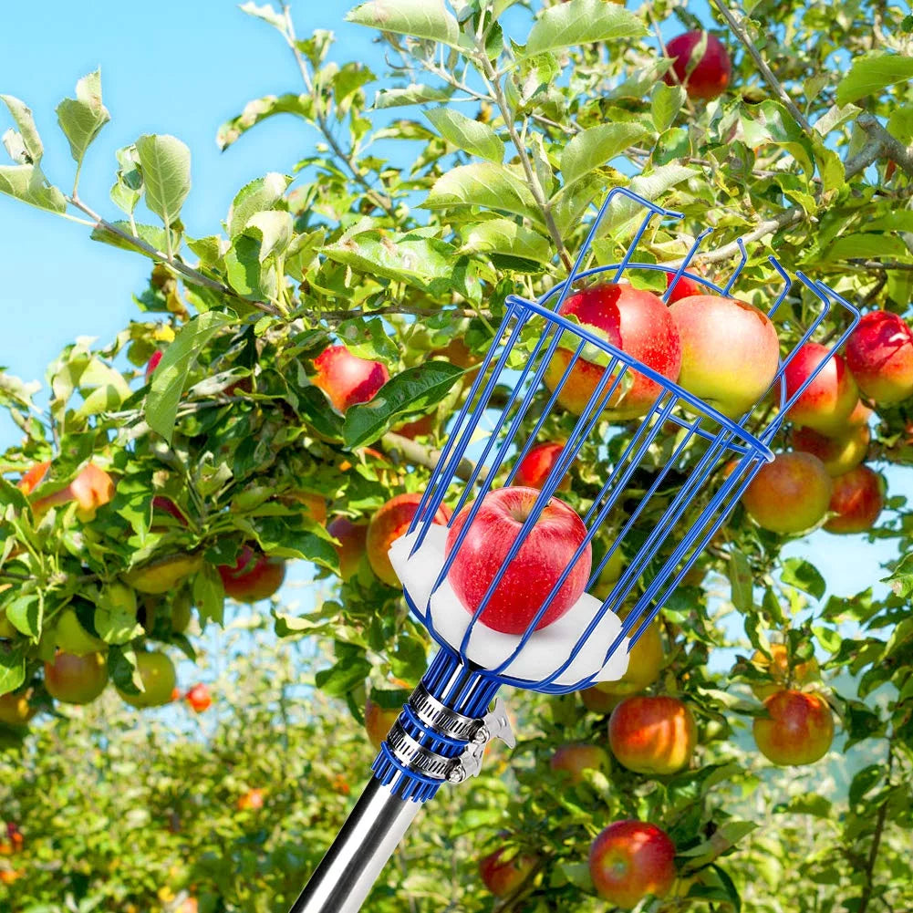 13-Foot Fruit Picker with Telescoping Pole and Basket M87256