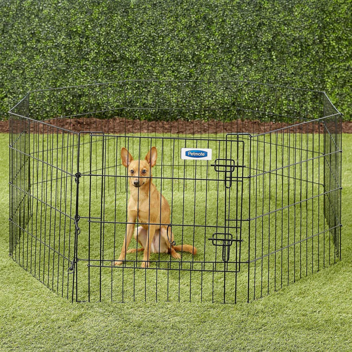 Exercise Pen with Door Q204785