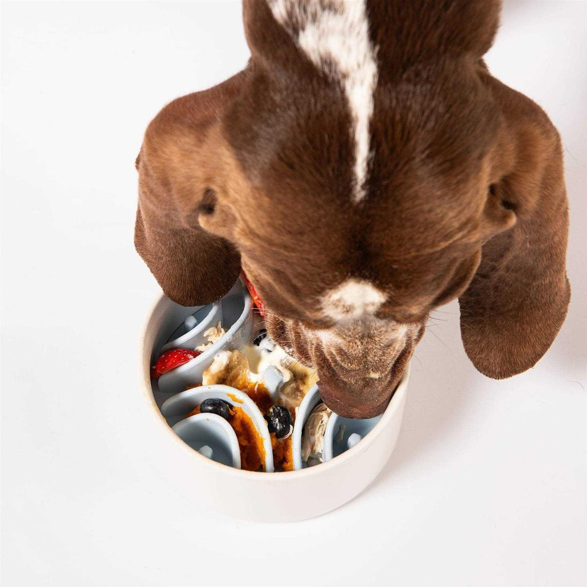 Silicone Dog Feeding Mat Q8385