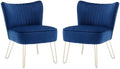 Velvet Accent Chairs with Golden U-Shape Legs O39920