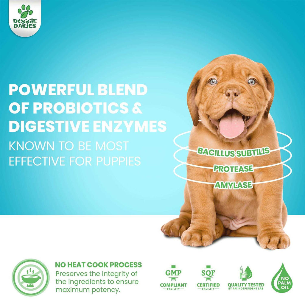 Puppy Probiotic with Digestive Enzymes A957