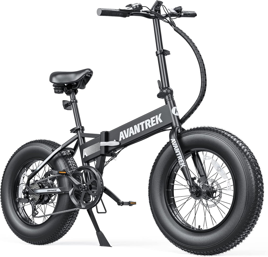 20'' Folding Fat Tire Electric Bike B195937
