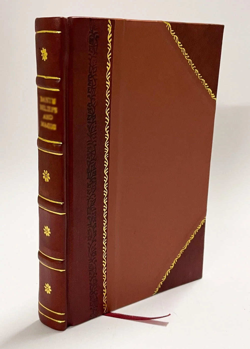 Zoologia Leather Bound V308