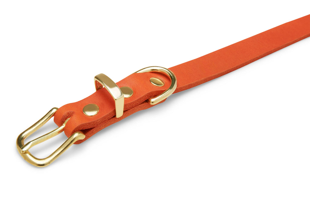Butter Leather Dog Collar XXL D75008