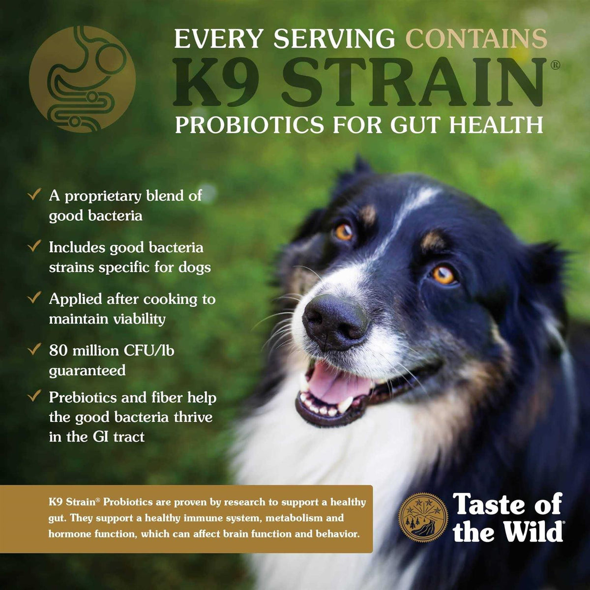 Dog Food W886003