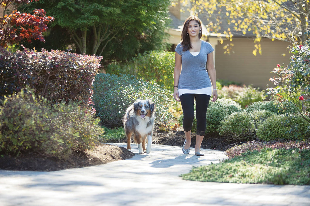 Rechargeable In-Ground Fence for Dogs and Cats N872221