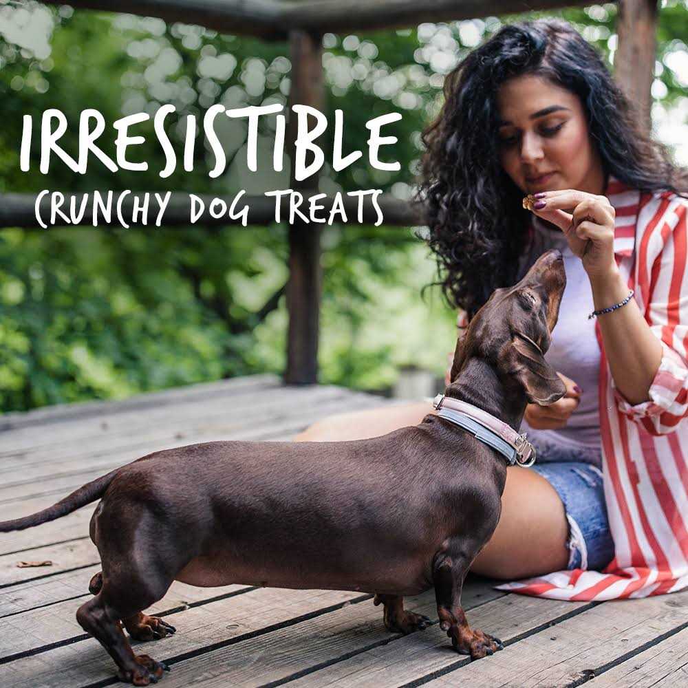 Pumpkin Dog Treats P3782