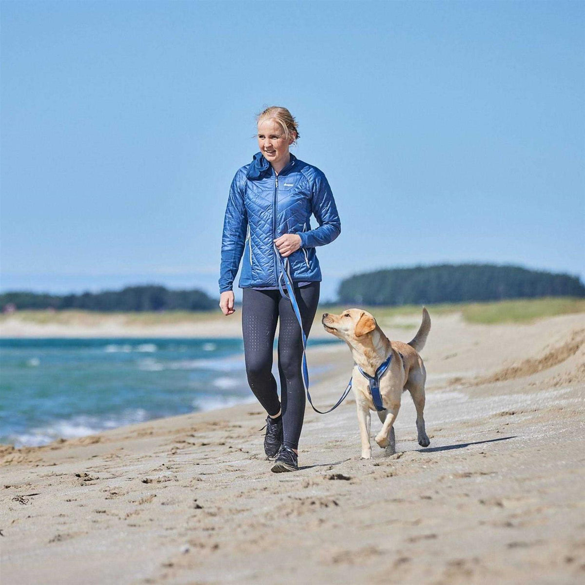 Dog Harness P5405