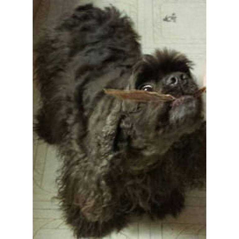 Duck Jerky Strips E503743