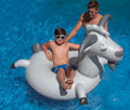 Inflatable Pool Ring M395588