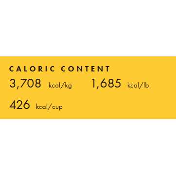 Four Star Cat Food Q67993