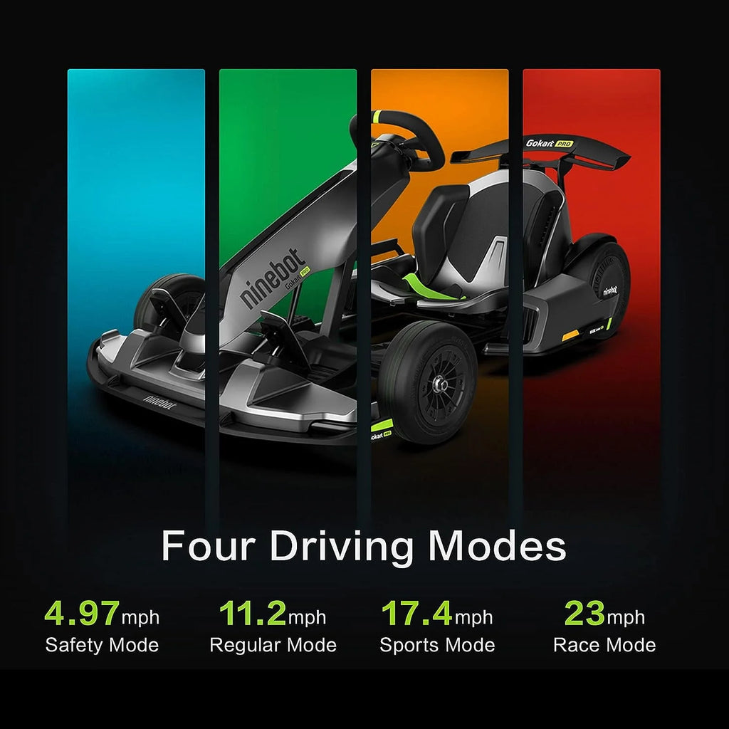 Electric GoKart, 23 Miles Range, 15.5MPH, 220lbs, Black G389