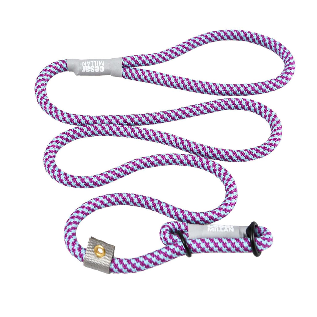 2-in-1 Slip Collar Dog Training Lead & Collar T586