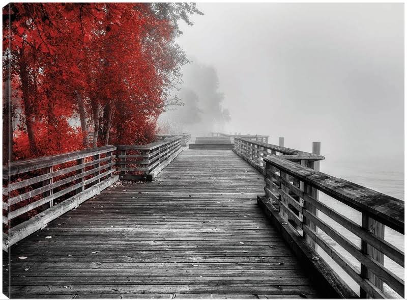 32x24 Canvas Art E880843