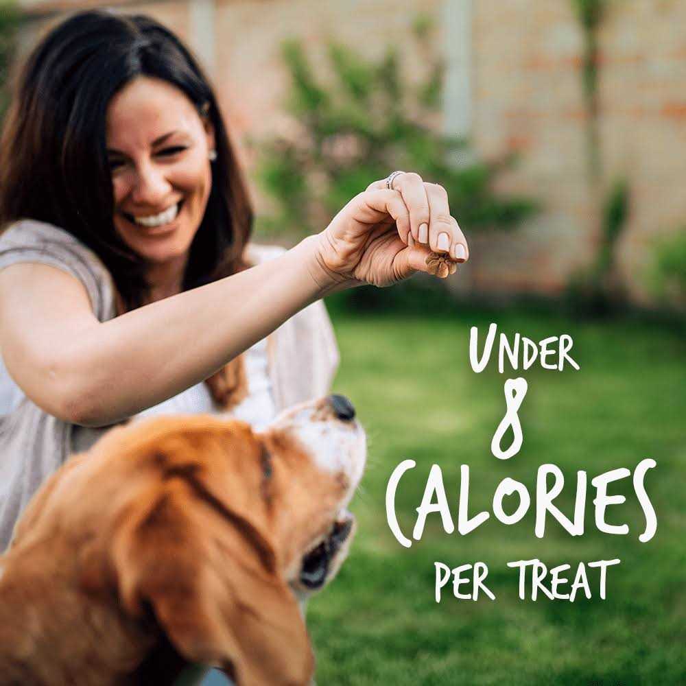 Pumpkin Dog Treats P3782