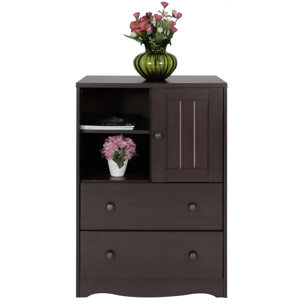 Dark Brown Storage Cabinet with 2 Drawers Q992621