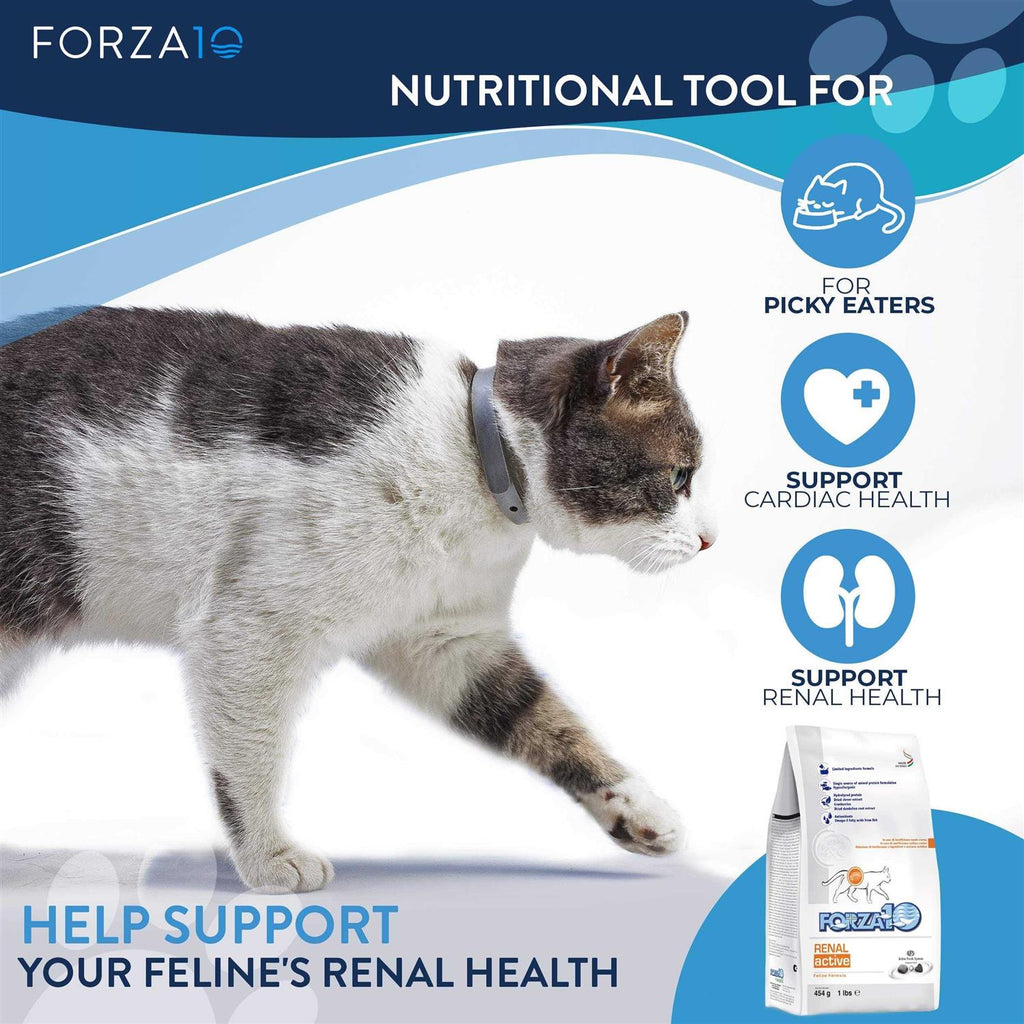 Kidney Support Diet Dry Cat Food T9886