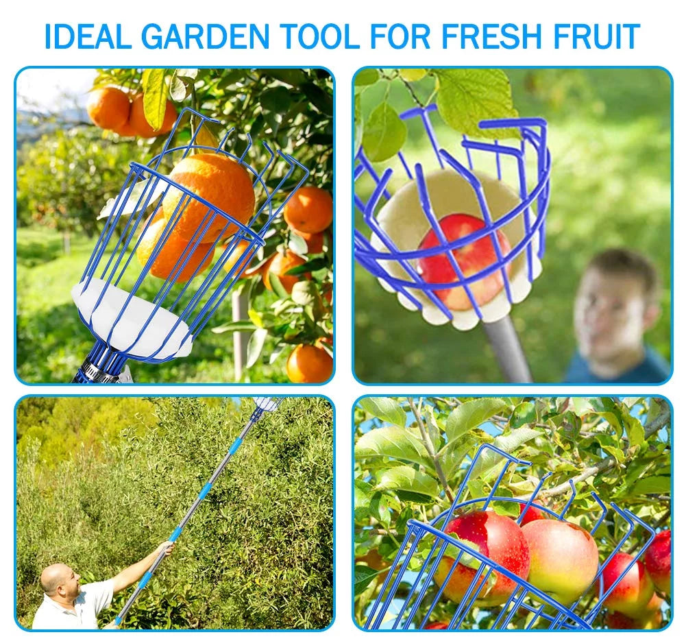 13-Foot Fruit Picker with Telescoping Pole and Basket M87256
