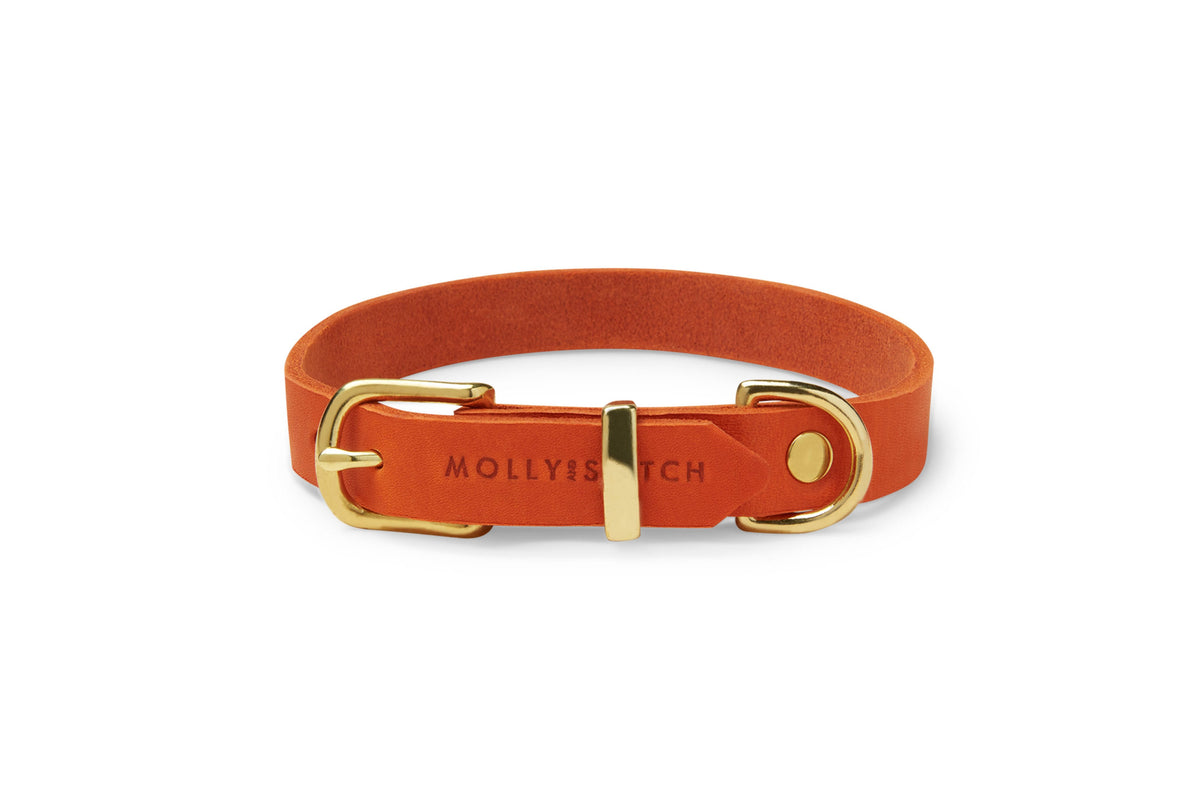 Butter Leather Dog Collar XXL D75008