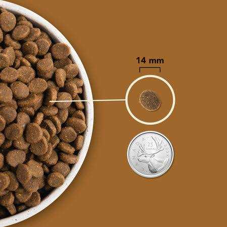 Dog Food D360